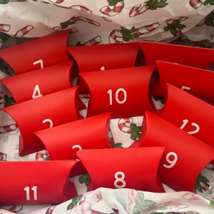 12 Days of Bricknella Creations